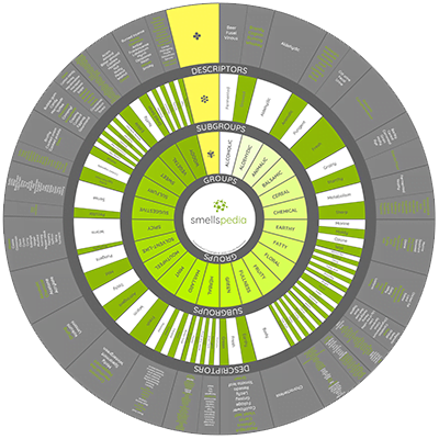 Smellspedia_SmellsWheel_v1__trans_400x400